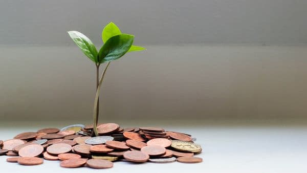 Tracking Your Referral Earnings: A Partner's Guide